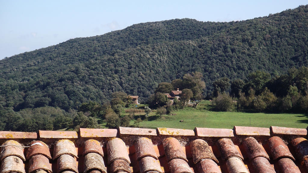 Apartament Salgueda Santa Pau