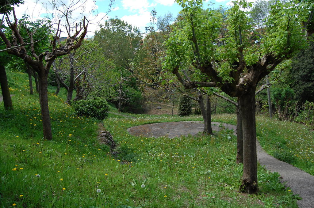 Salgueda