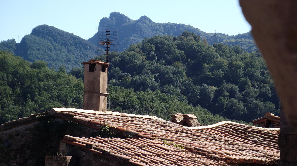 Salgueda Santa Pau
